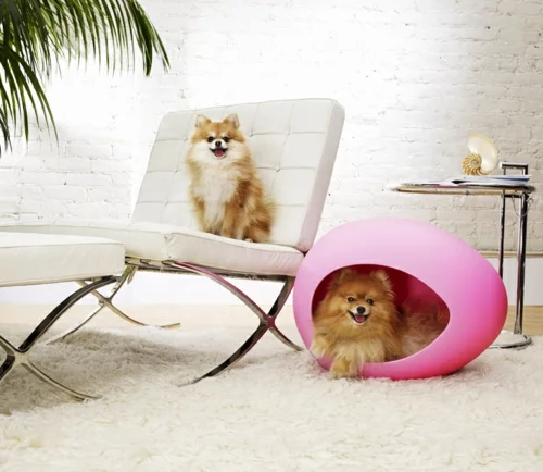 designer rosa möbel für haustiere auffallend design