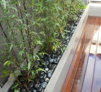 Tolle Bambus Tipps für Ihren Garten – das Richtige auch für kleinere Flächen