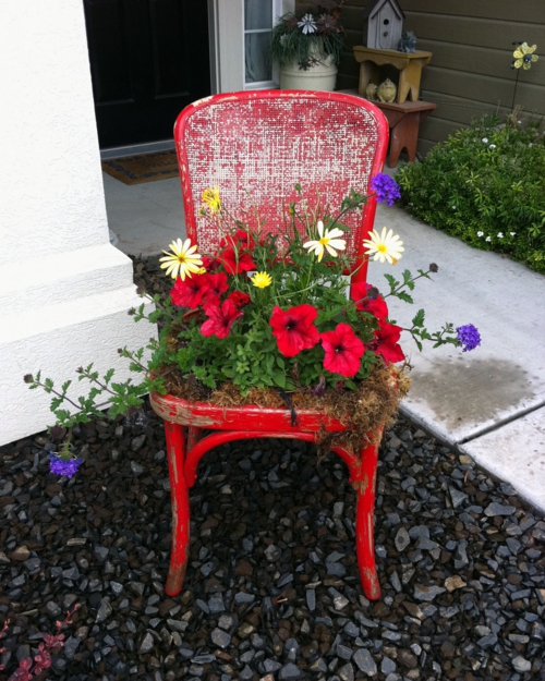 Alte Stühle im Garten mit neuer Funktion rot blüten gelb attraktive Pflanzgefäße