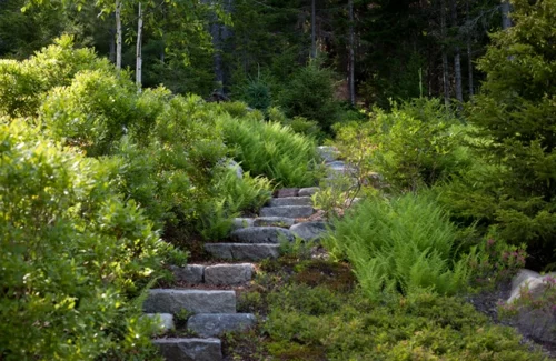 Landschaftsarchitektur und Design mit nachhaltig gewonnenem Holz stufen stein