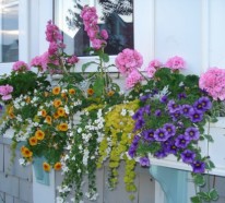 Blumenkästen am Fenster in unterschiedlichem Stil