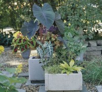 DIY Blumentöpfe aus Beton – 12 tolle Projekte für Anbauer im Außenbereich