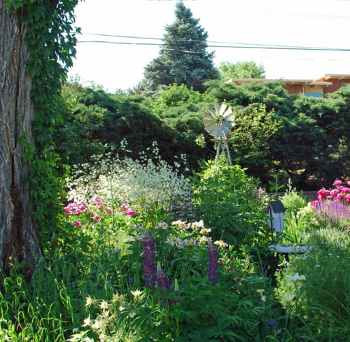 Garten und Landschaftsbau traditionell pflanzen blüten bunt