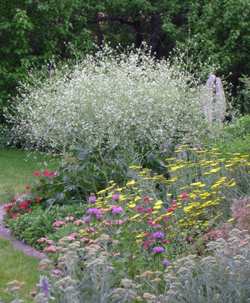 Garten und Landschaftsbau traditionell pflanzen blüten