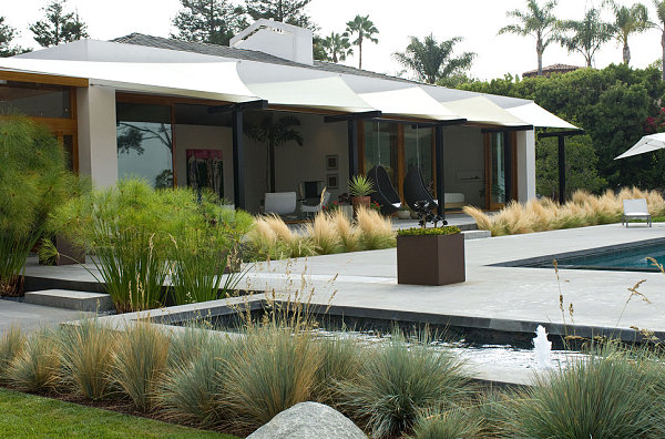 modernes landschaftsbau design hohe gräser außen pool