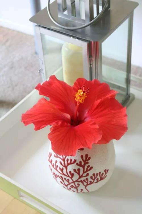 tropisches Ambiente zu Hause glas vase blumen rot