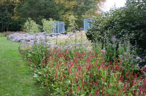 Üppige Pflanzen im gut gepflegten Garten kanten grasflächen lila rot