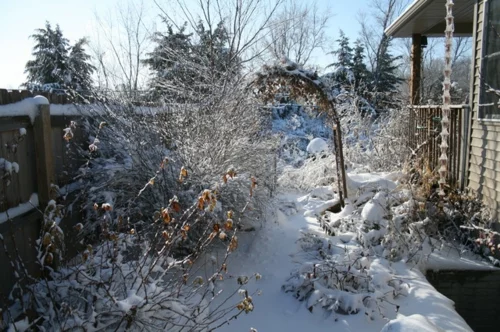 schmetterlinge im garten anlocken gestalten pflanzen winterbild schnee