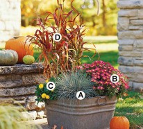 Nützliche Tipps für Gartenpflege im Herbst