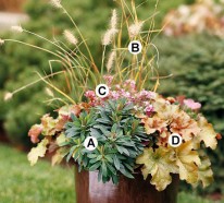 Nützliche Tipps für Gartenpflege im Herbst