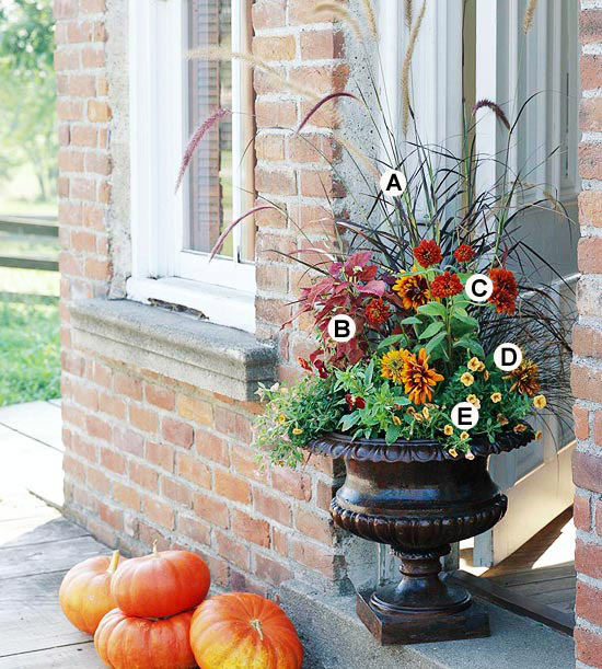 Gartenpflege im Herbst kübel pflanzen kürbisse dekoration blumen eingang