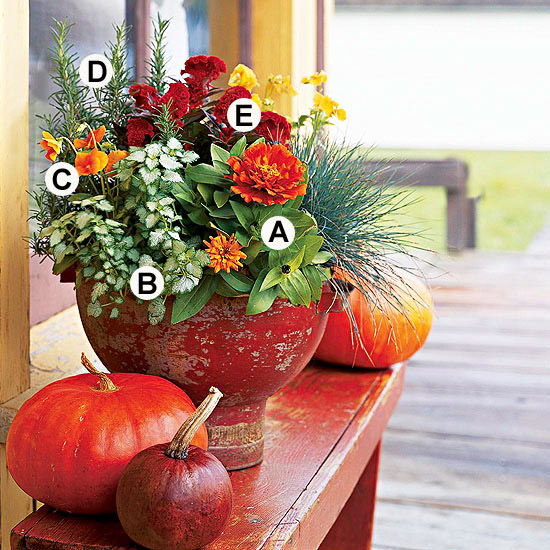 Gartenpflege im Herbst kübel pflanzen sitzbank holz rot lackiert akzent