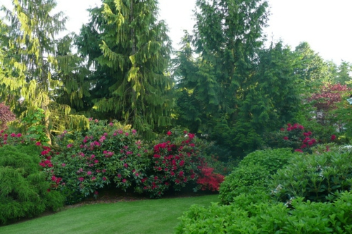 Origineller Sichtschutz im Garten landschaft grünfläche blüten rot