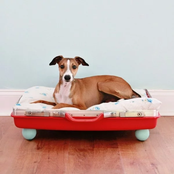 Fabelhafte Hundebett Aus Alten Mbeln Bilder