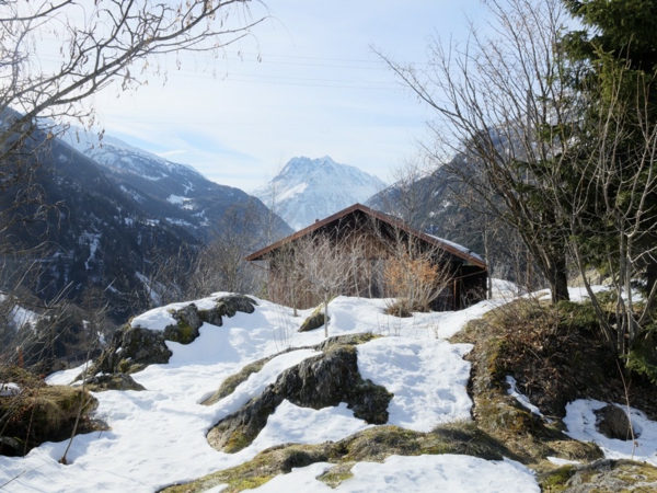 elegante originelle berghütte wald berge und schnee