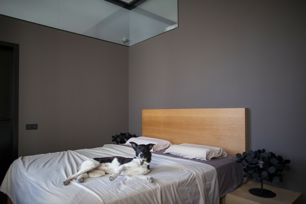 kreative wohnung mit fließendem design minimalistisches schlafzimmer mit hund