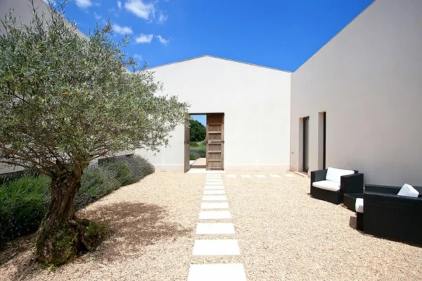 luxus ferienvilla auf mallorca der eingang mit olivenbaum