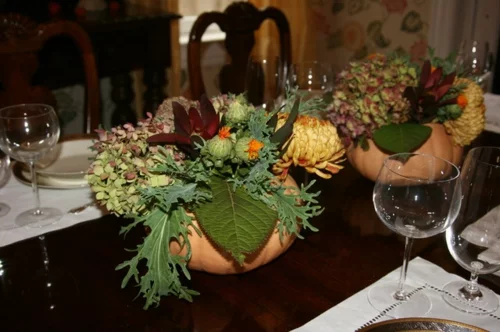 stilvolle und gruselige ideen fü rhalloween herbst pflanzen in kürbissen