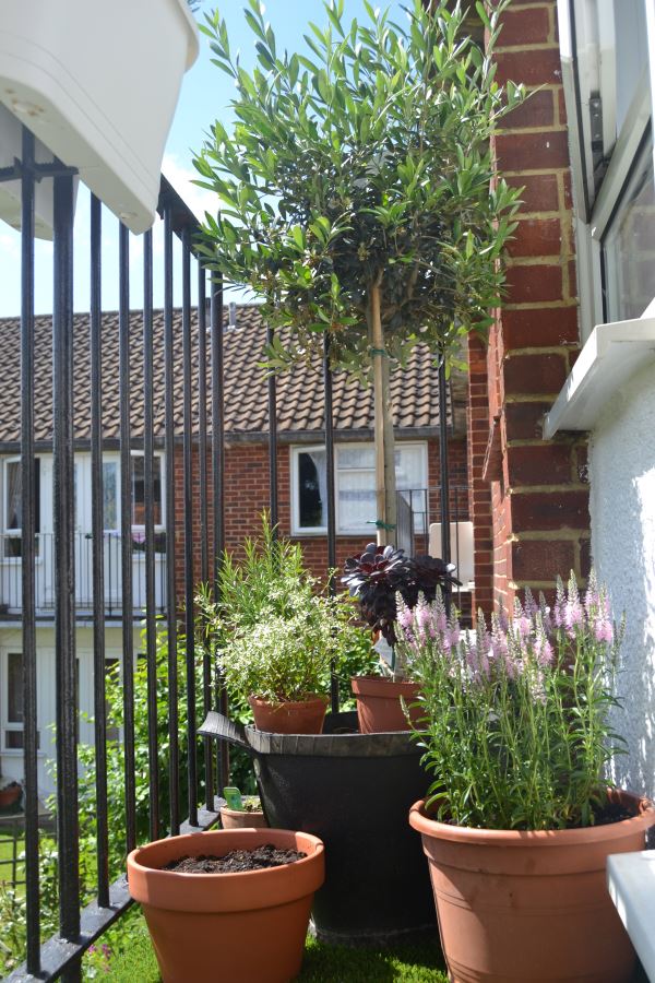terrassengestaltung mit pflanzen backsteine und metallgitter