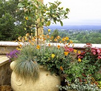 Terrassengestaltung mit Pflanzen – wunderschöne Beispiele und Ratschläge für Sie