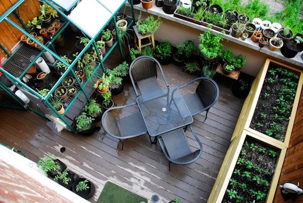 terrassengestaltung mit pflanzen küchenkräuter metallstühle