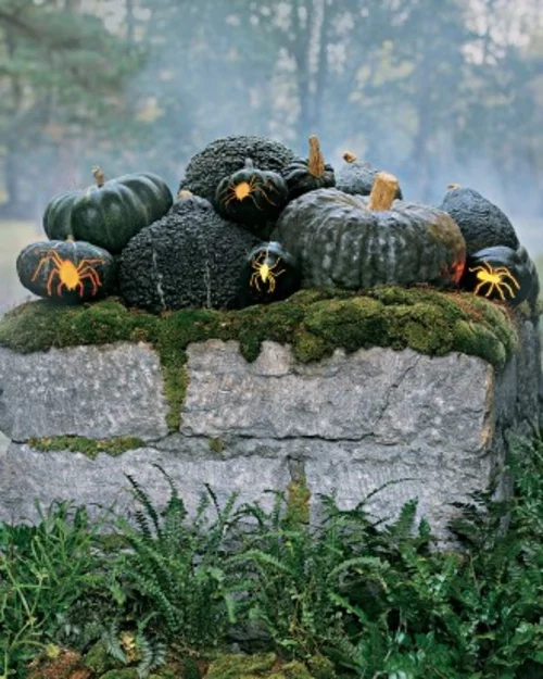 halloween coole außendekoration dunkelgrüne kürbisse und geschnitzte spinnen