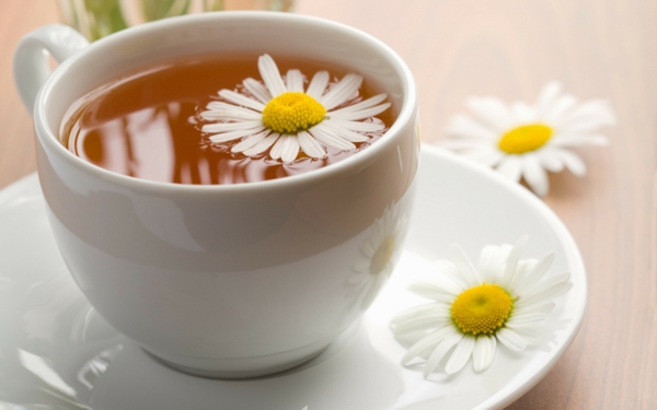 kaffee oder tee trinken tasse blume kräuter gesund