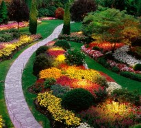 Landschafts und Gartenbau – sieht Ihr Garten aus allen Blickwinkeln gut aus?