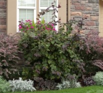 Minimalistische Gartengestaltung mit blaugrauen und purpurnen Farben
