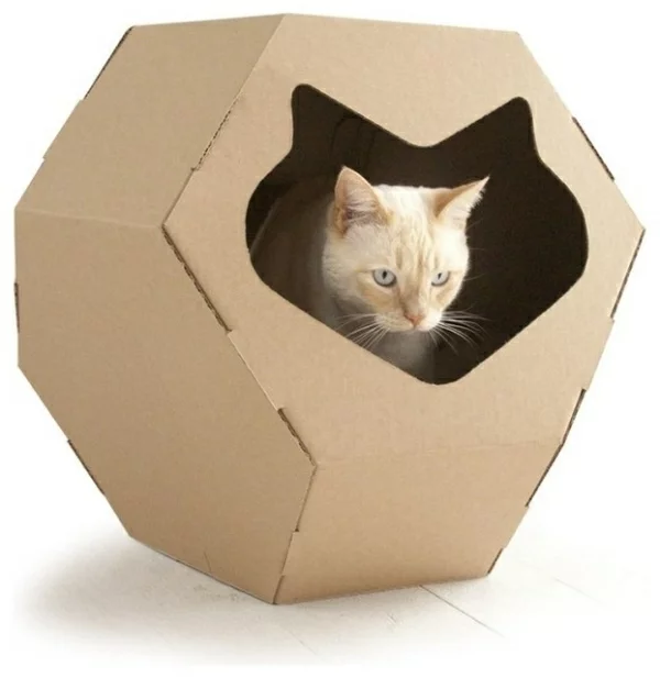 Modernes Zubehör für Ihre Haustiere wiederverwendet karton