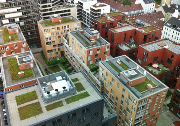 dachbegrünung-hochhäuser-mit-grünen-dächern