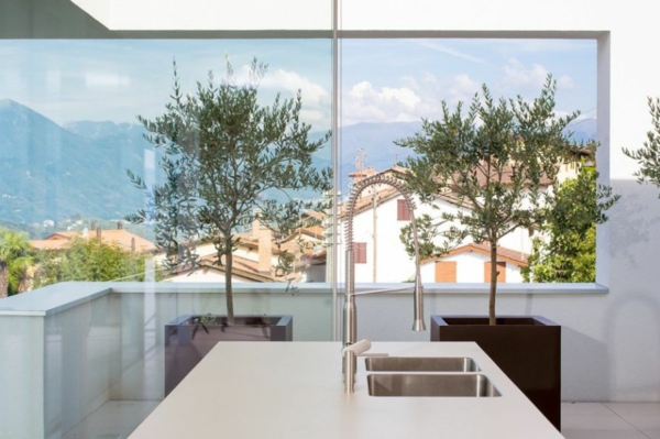 exklusive luxus villa panorama fenster olivenbäume