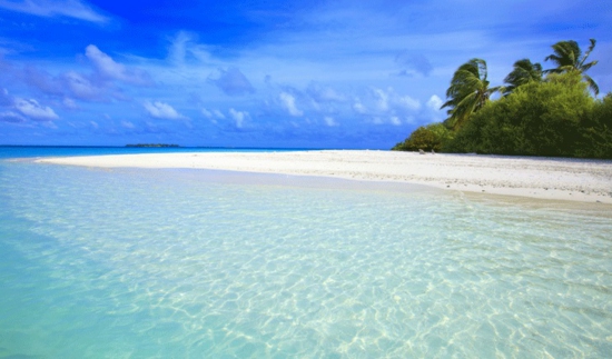 exotisch Niyama Beach resort sand weiß palmen klar wasser