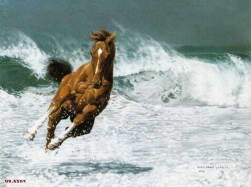 schöne Pferde braun braun wasser meer rennend