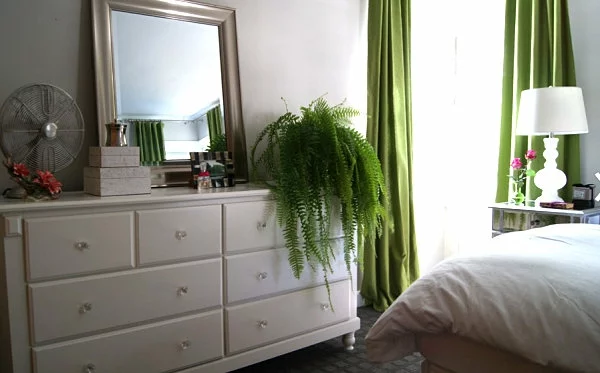 traditionell schlafzimmer erfrischend grüne das interieur mit farben bedecken