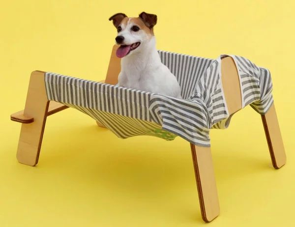 Architektur für Hunde originell ausgedacht betten hängematte