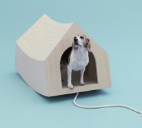 Architektur für Hunde – eigenartige Betten, Hundehütten und Spielgeräte