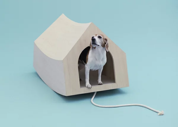 Architektur für Hunde originell ausgedacht holz haus