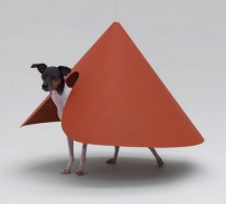 Architektur für Hunde – eigenartige Betten, Hundehütten und Spielgeräte