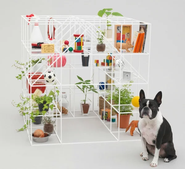 Architektur für Hunde originell ausgedacht regale konstruktion spiel