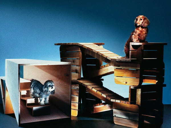 Hunde originell ausgedacht tierspiele Architektur