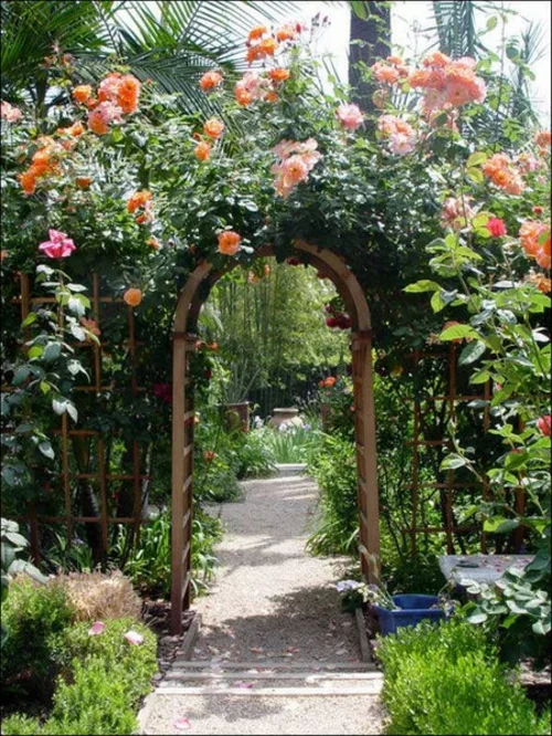 Coole Gartengestaltung mit Rosenbogen blumen orange