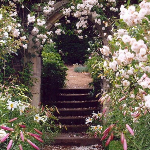  Gartengestaltung mit Rosenbogen gitter trittstufen