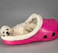 Cooles Hundebett in Form von einem Schuh