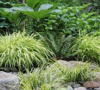Gartengestaltung – 10 Lösungen für feuchte Erde