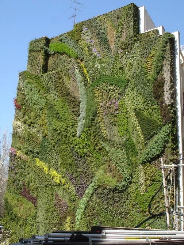 Vertikaler Garten gebäude stadt fassade kunst