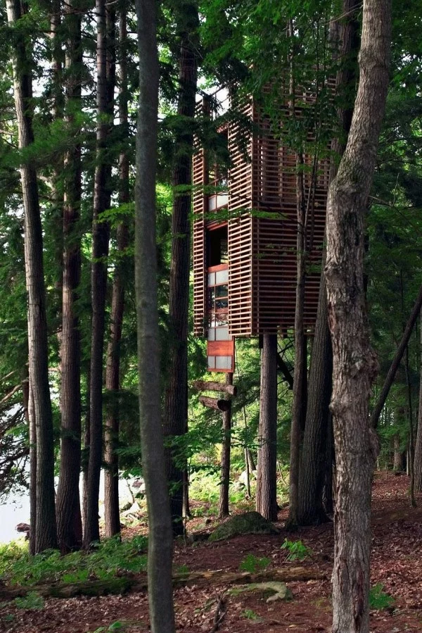 erstaunliche Baumhaus Ideen wald grün design