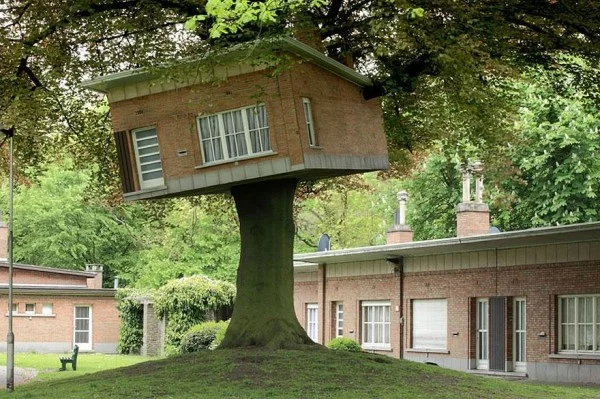 erstaunliche Baumhaus Ideen wald grün rentnertreff