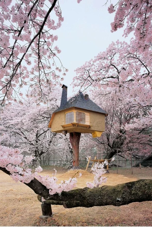 erstaunliche Baumhaus Ideen wald rosa blüten