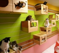 Modulare Katzenkletterwand von Catswall